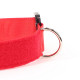 Halsband Diensthund KILO 9 Rot