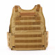Plate carrier vest ARES in Coyote