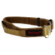Collar Chester control robusto
