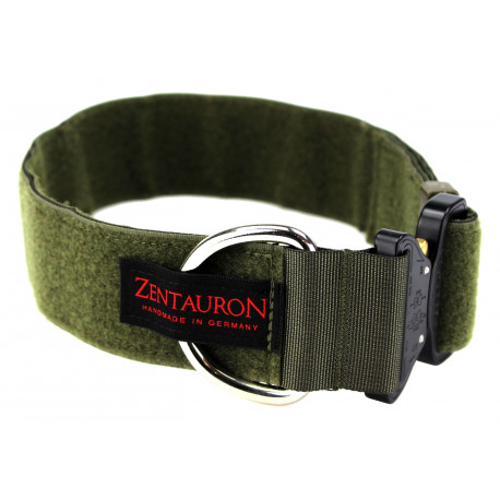 Collar Chester deber resistente
