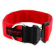 Collar Chester deber resistente