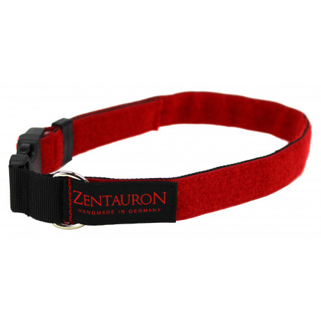 Collar Chester