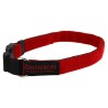 Collars for dogs and service dogs in different colors and widths