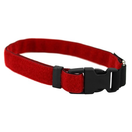 Collari per cani e cani guida in diversi colori e larghezze