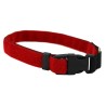 Collars for dogs and service dogs in different colors and widths